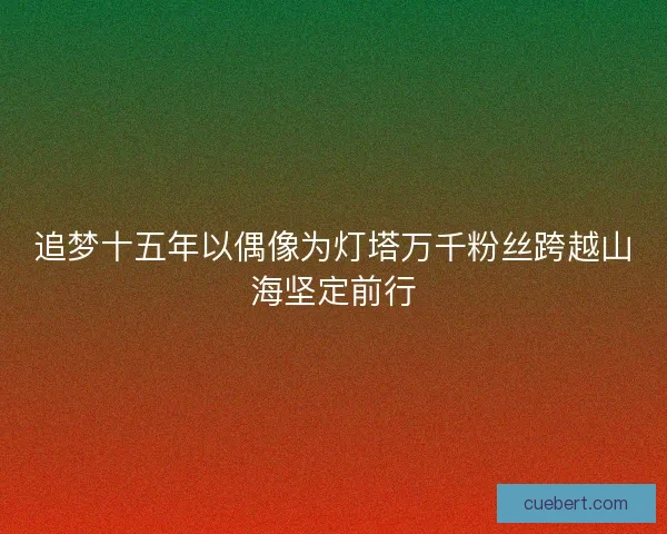 追梦十五年以偶像为灯塔万千粉丝跨越山海坚定前行